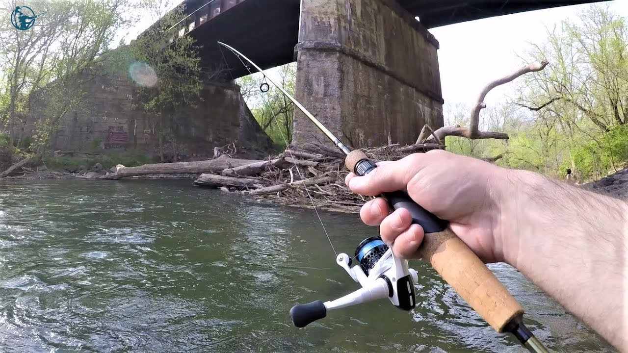 5 Best Fishing Rods For Trout Ultimate Guides in 2022