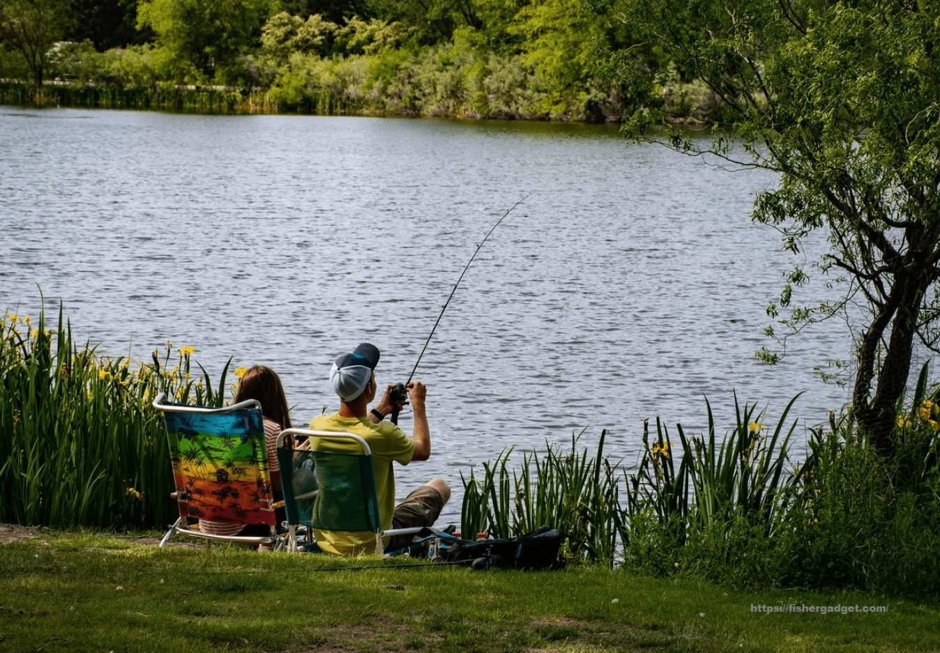 Best Times to Fish How to Find the Best Time for Fishing?