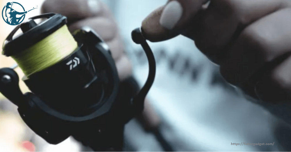 Best Fishing Line For BassTop Performing Bass Fishing Tools
